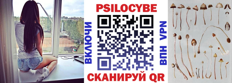Купить закладки  Нюрба  Галлюциногенные грибы мухоморы 